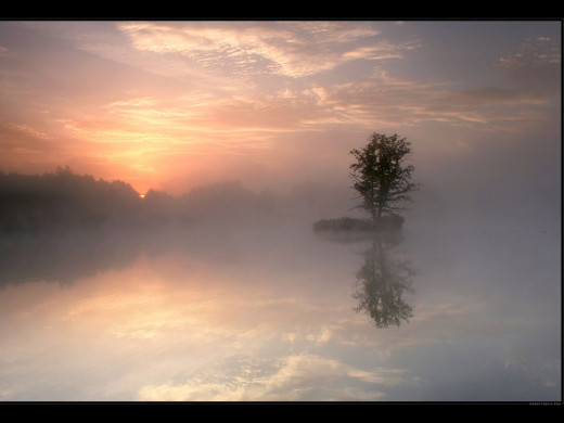 32557 (a): :1024x768